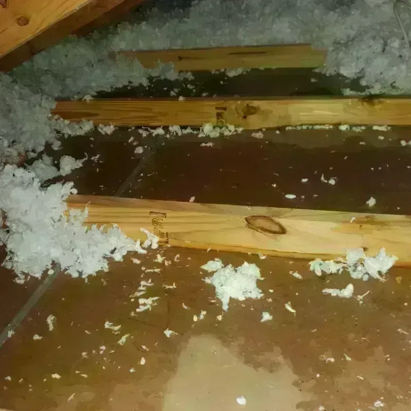 Attic Water Damage in Calhoun City, MS