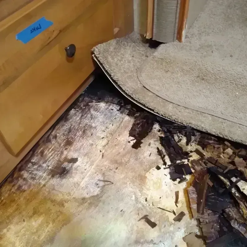 Wood Floor Water Damage in Calhoun City, MS